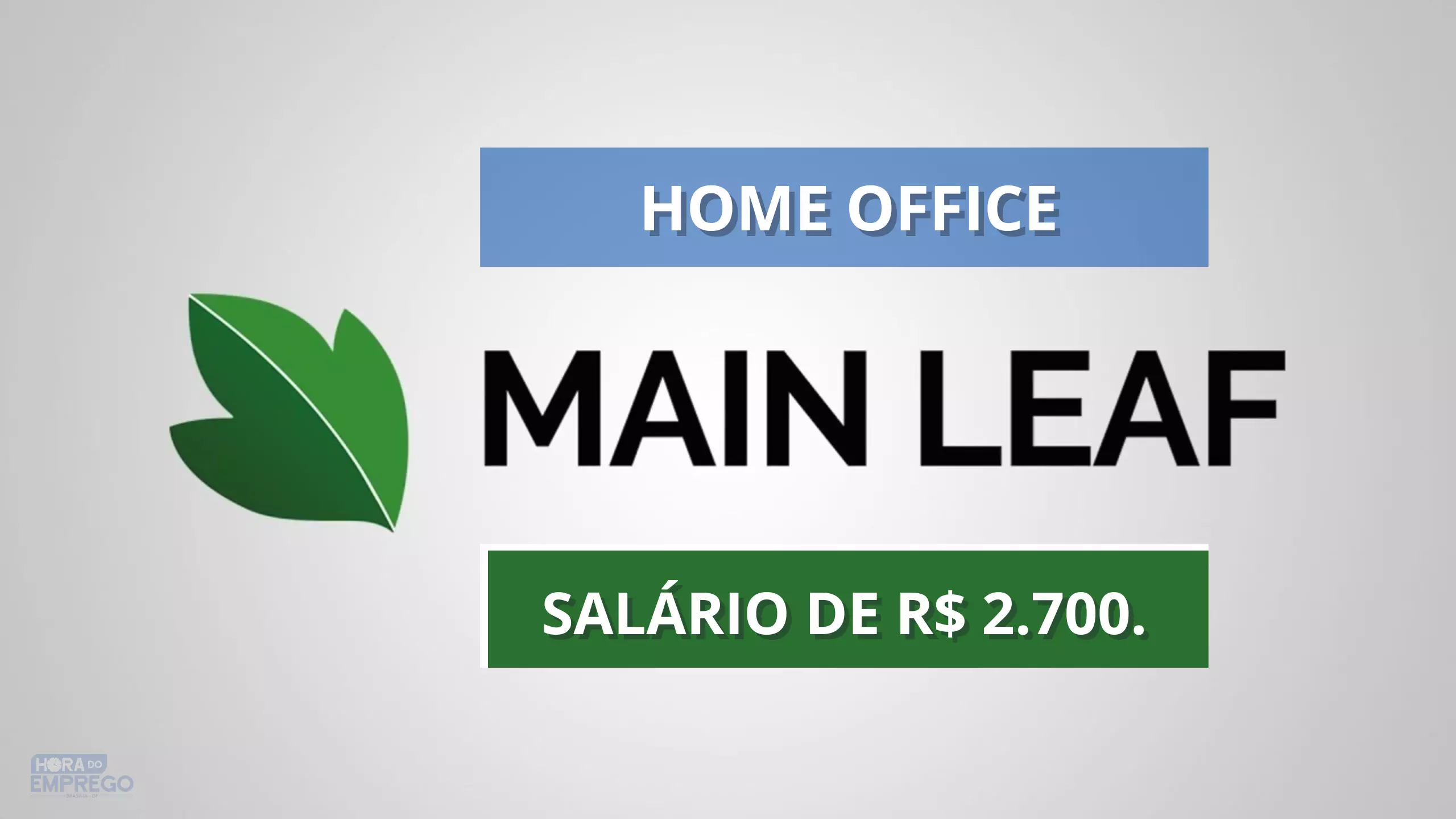 Trabalhe De Casa Main Leaf Anuncia Vaga 100 HOME OFFICE Para