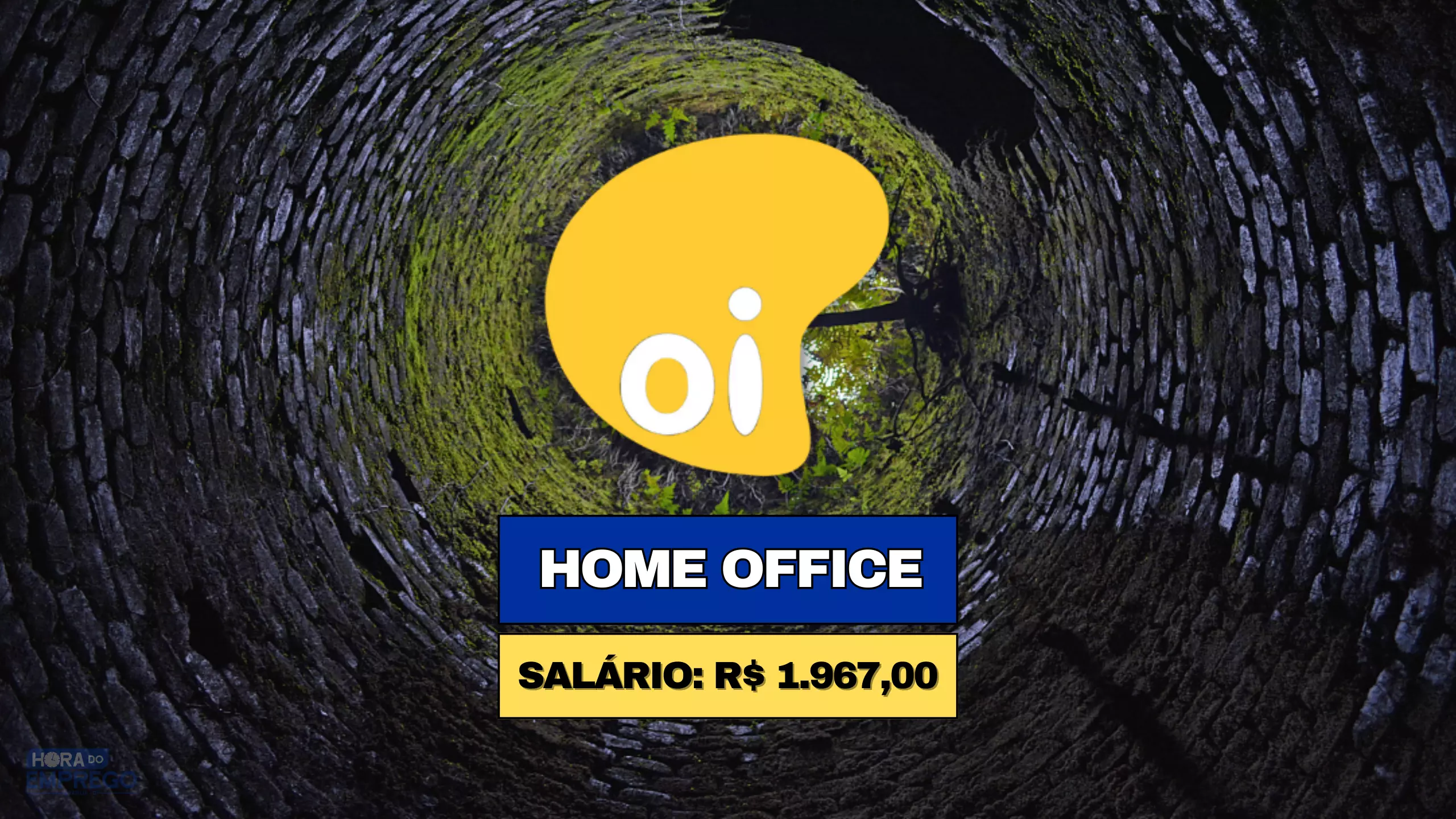 Operadora Oi Abriu Vagas Home Office Para Trabalhar De Casa No Cargo De