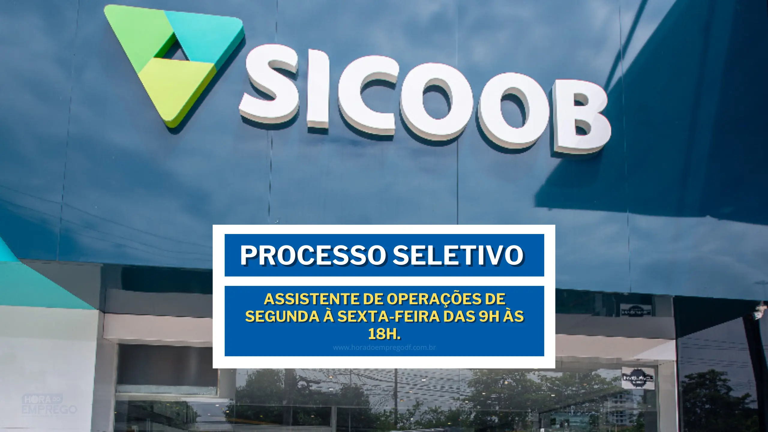 Sicoob abre novas vagas para Assistente de Operações de segunda à sexta