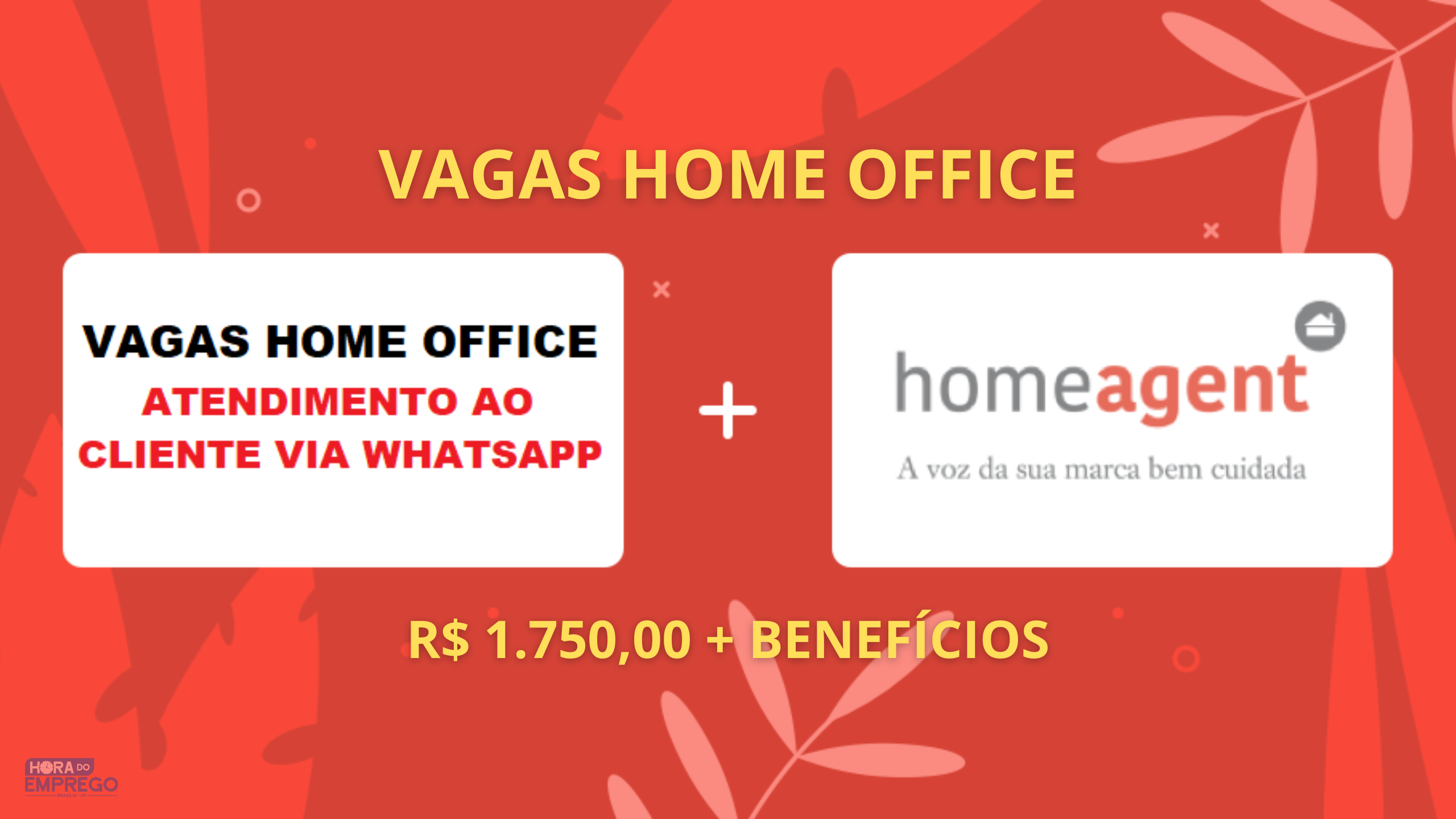 AeC abre 970 vagas de emprego em home office para pessoas com e