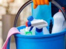 Cleaning Services Concept . The Cleaning Lady With A Bucket And