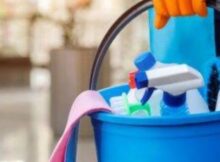 Cleaning Services Concept . The Cleaning Lady With A Bucket And