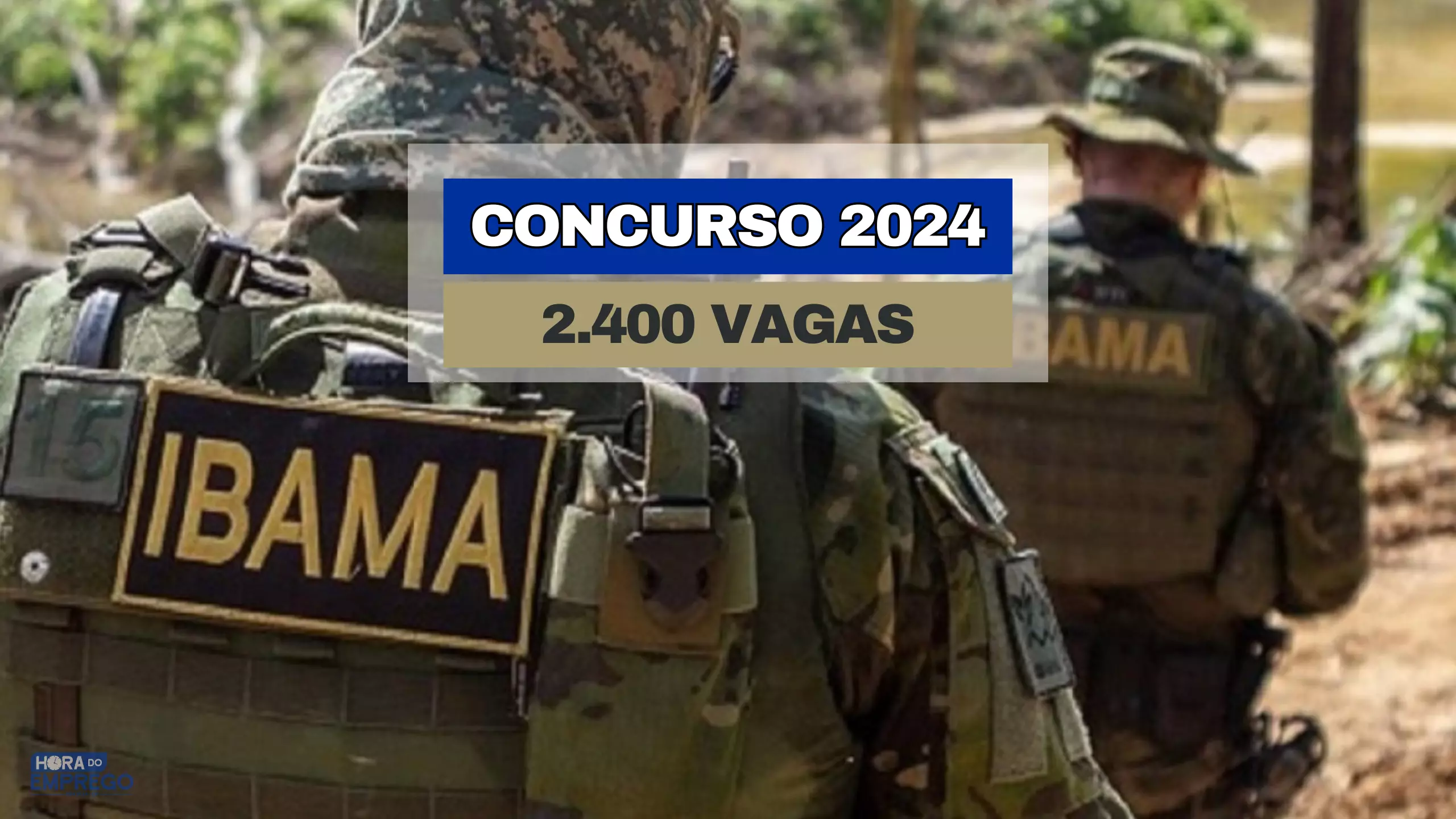 Concurso IBAMA 2024 Autorização para um novo concurso com 2.400 vagas