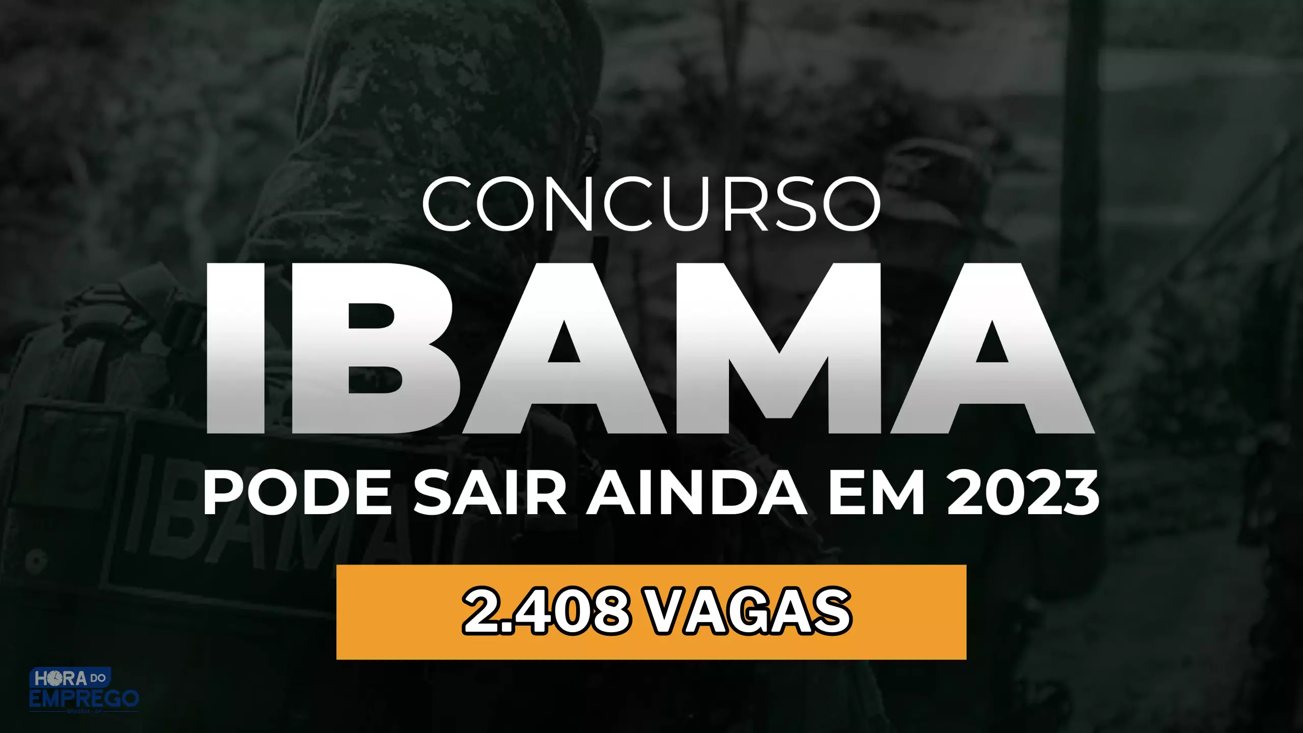 Concurso IBAMA 2024 Edital de Nível Médio e Superior com 2.408 vagas