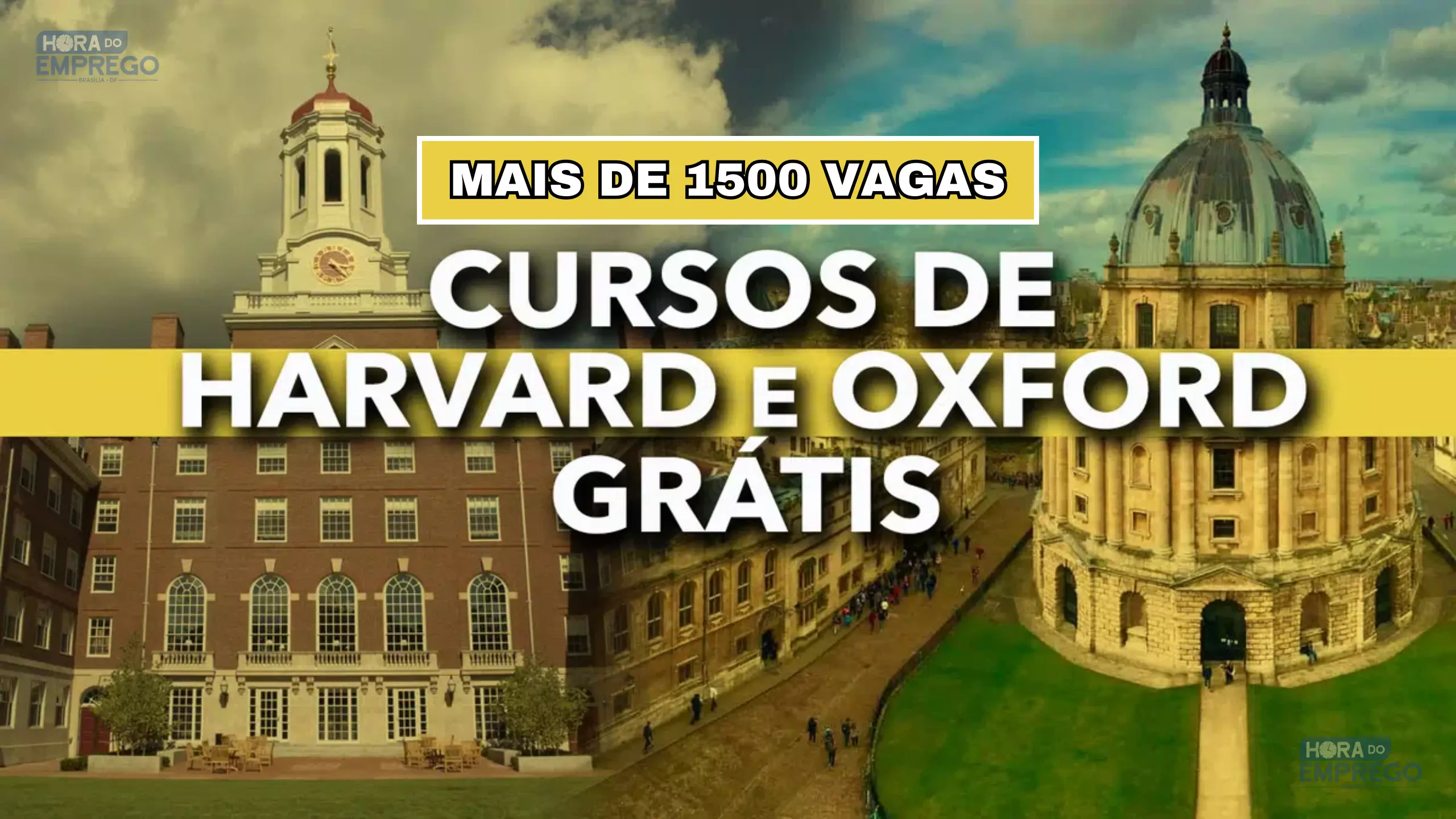 De Harvard a Oxford: melhores cursos gratuitos online