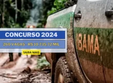 Concurso Ibama 2024