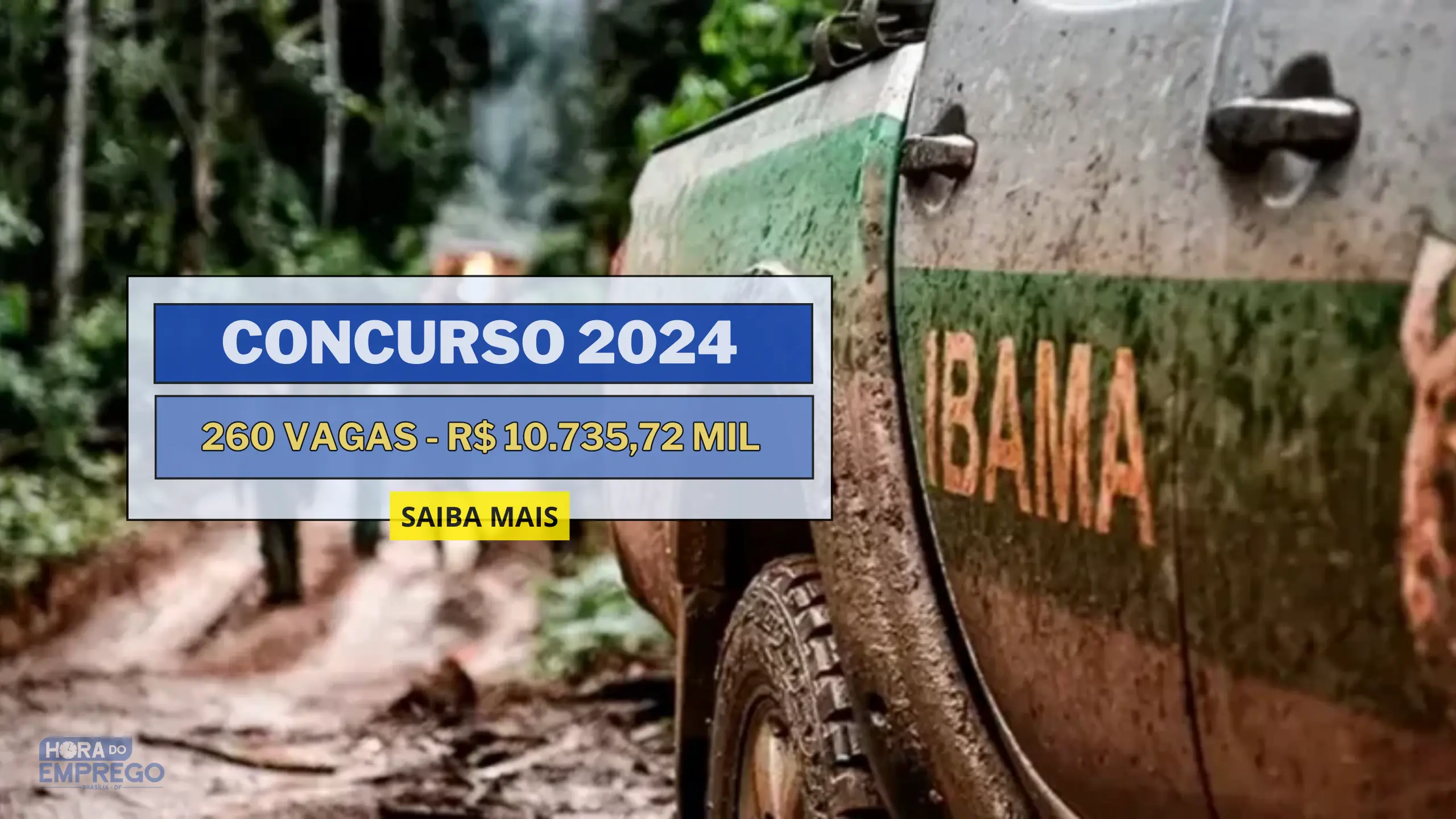 Concurso Ibama 2024 Agora é Oficial! Autorizado 260 vagas para