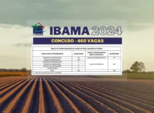 Concurso Ibama